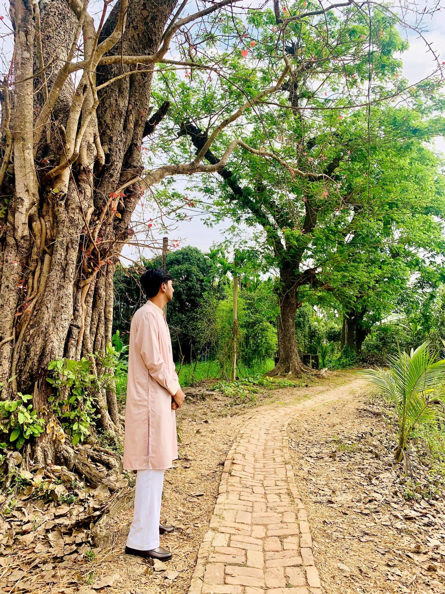 Abtahi Mahmud portrait 1